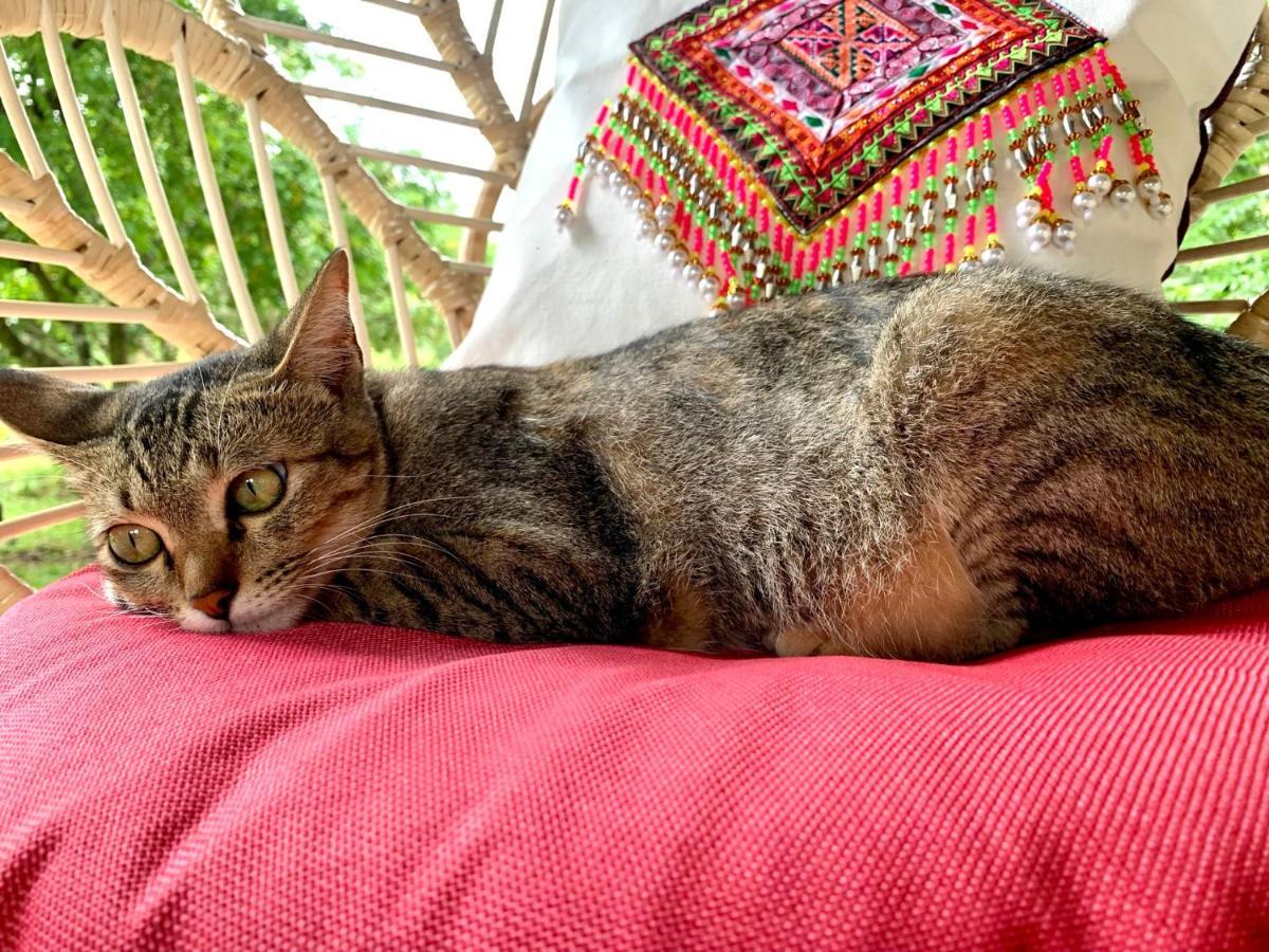 La Maison - Chiangmai Mae Taeng Bagian luar foto